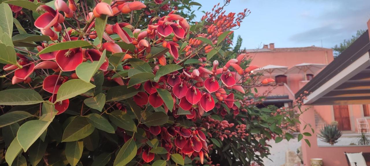 Bioagriturismo Antica Sena Milici Eksteriør billede