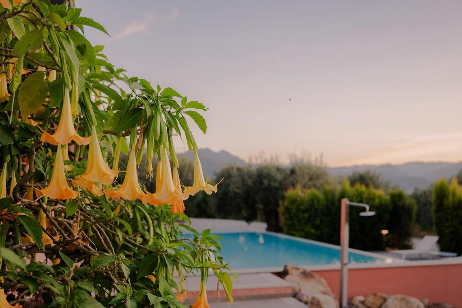 Bioagriturismo Antica Sena Milici Eksteriør billede