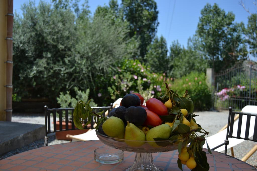 Bioagriturismo Antica Sena Milici Eksteriør billede